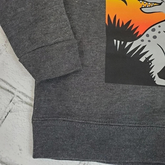 Grey and Black TREX Boys Fleece Lined Sweatshirt and Sweatpants Matching Set - Picture 6 of 9